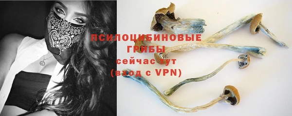 МДПВ Бугульма