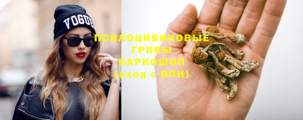 a pvp Верея