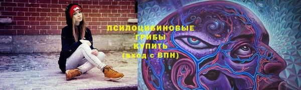 a pvp Верея